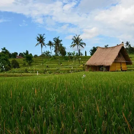 Cute Eco Cottage Near 7 Waterfalls Singaraja  Exterior photo