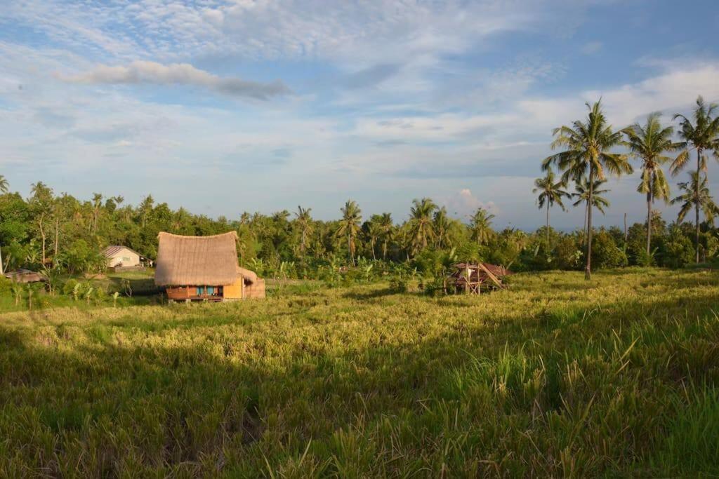 Cute Eco Near 7 Waterfalls Holiday home *