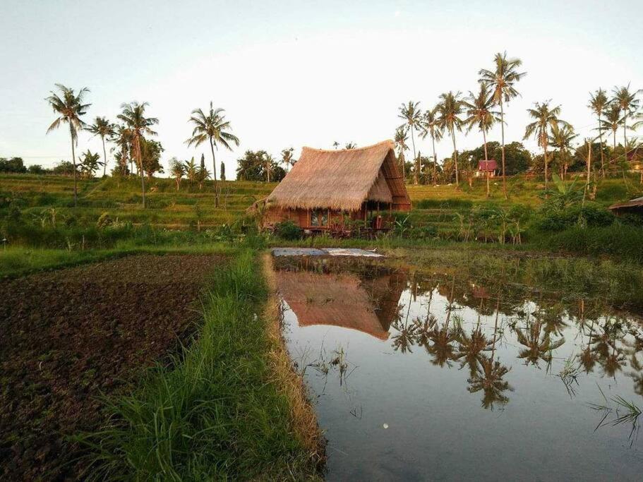 Cute Eco Near 7 Waterfalls