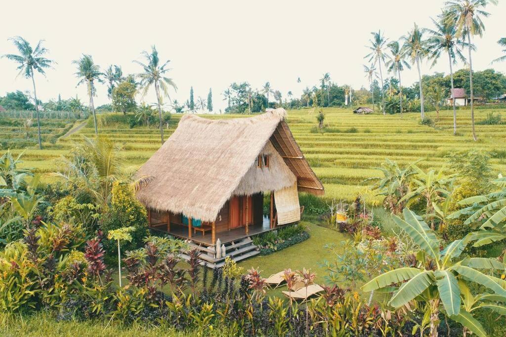 Cute Eco Near 7 Waterfalls Holiday home Singaraja (Bali)
