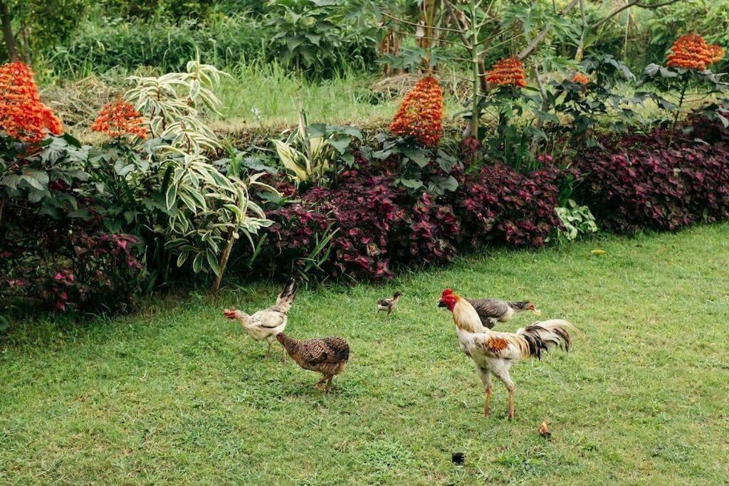 Cute Eco Near 7 Waterfalls Holiday home *