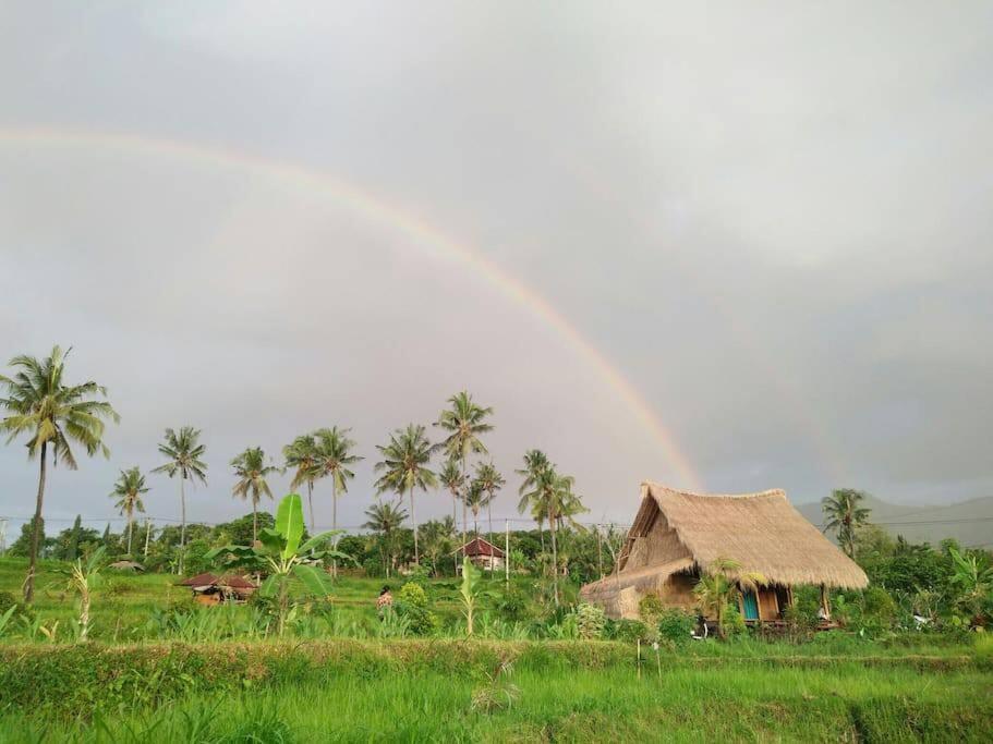 Cute Eco Near 7 Waterfalls Singaraja (Bali)