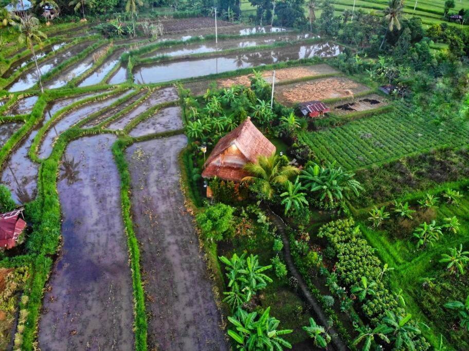 Holiday home Cute Eco Near 7 Waterfalls Singaraja (Bali)