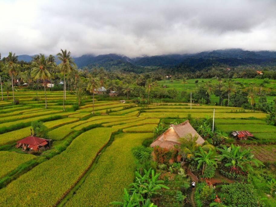 Cute Eco Near 7 Waterfalls Holiday home