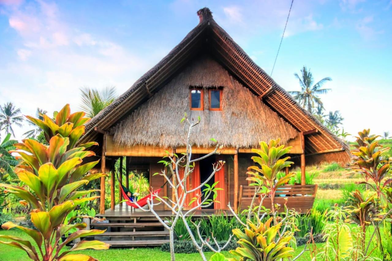 Cute Eco Near 7 Waterfalls Singaraja (Bali)