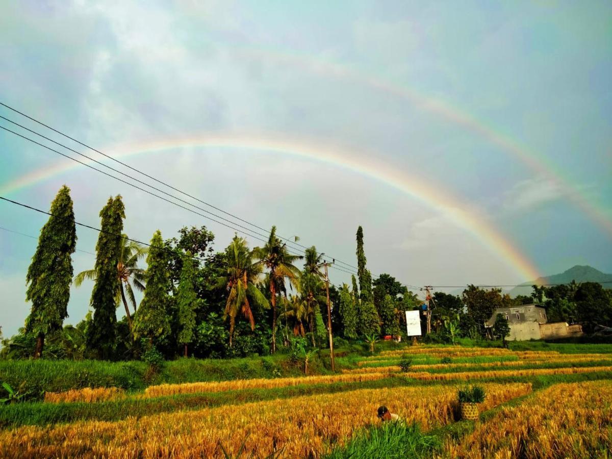 Cute Eco Near 7 Waterfalls Holiday home Singaraja (Bali)