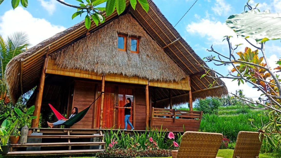 Cute Eco Near 7 Waterfalls Holiday home Singaraja (Bali)