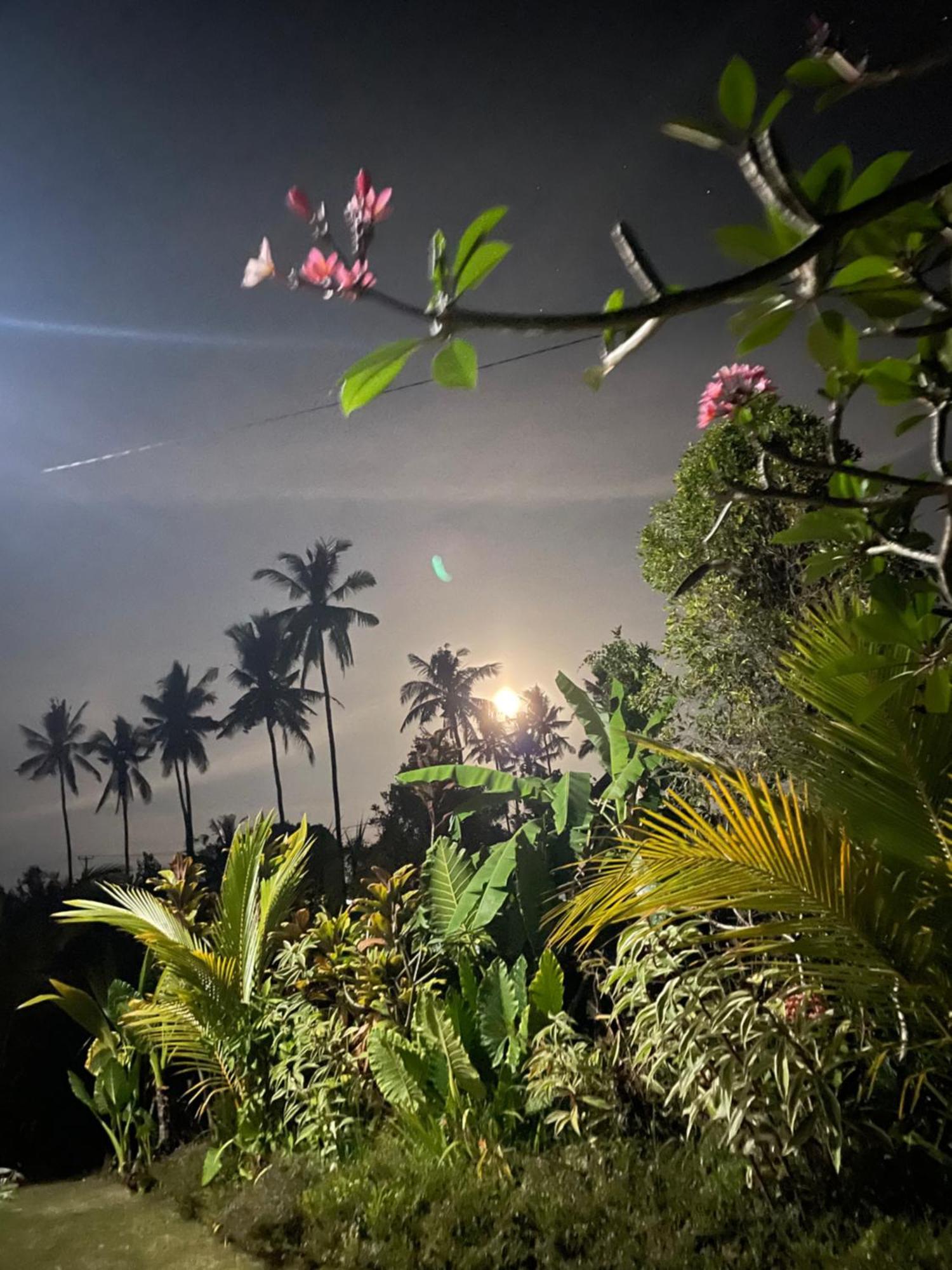 Cute Eco Near 7 Waterfalls Holiday home Singaraja (Bali)