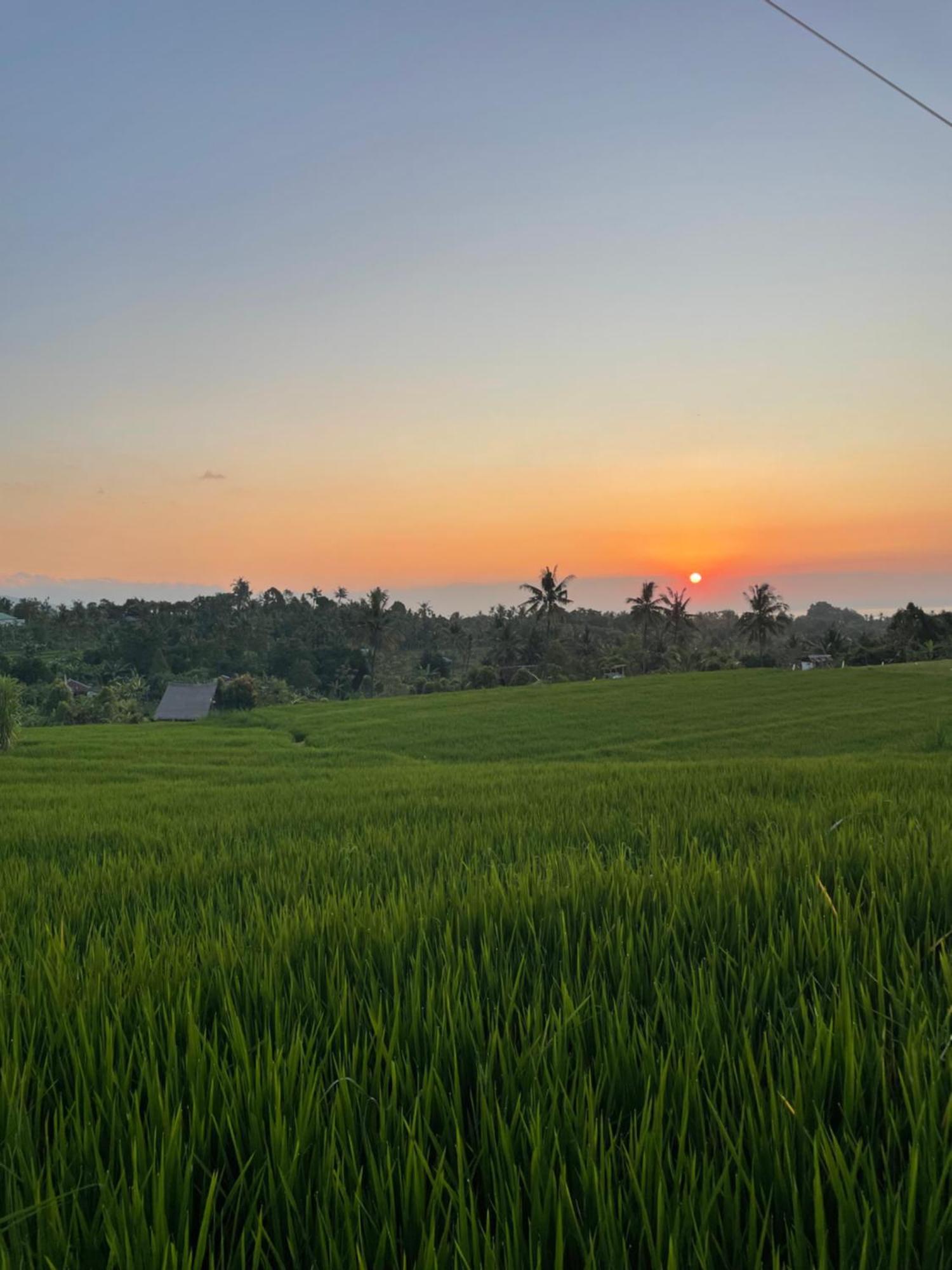 Cute Eco Near 7 Waterfalls Singaraja (Bali)