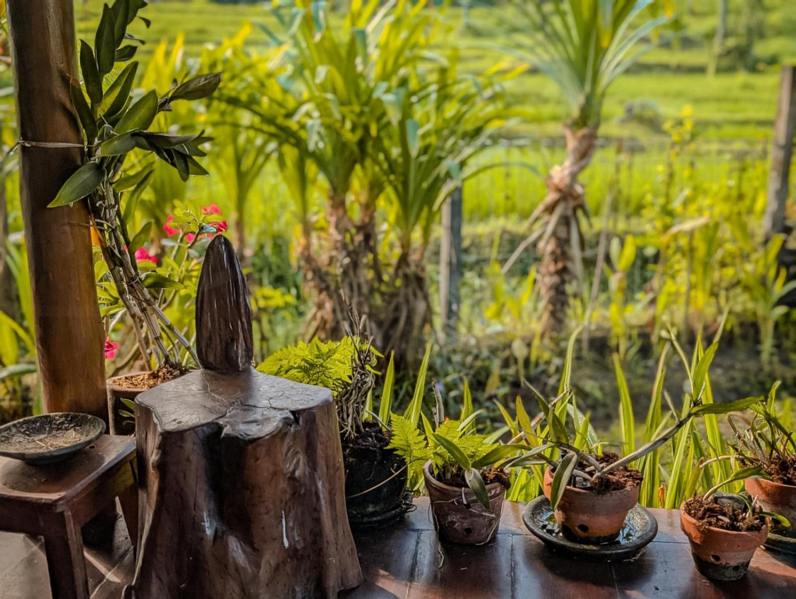 Holiday home Cute Eco Near 7 Waterfalls Singaraja (Bali)